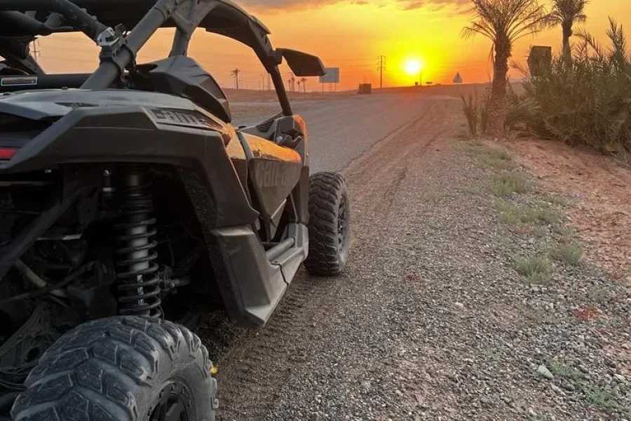Palmeraie Adventures: Buggy Through the Palms