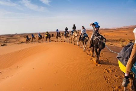 Golden Trails: Zagora Desert Adventure